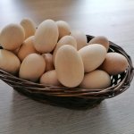 Vajíčko dřevěné se stojanem